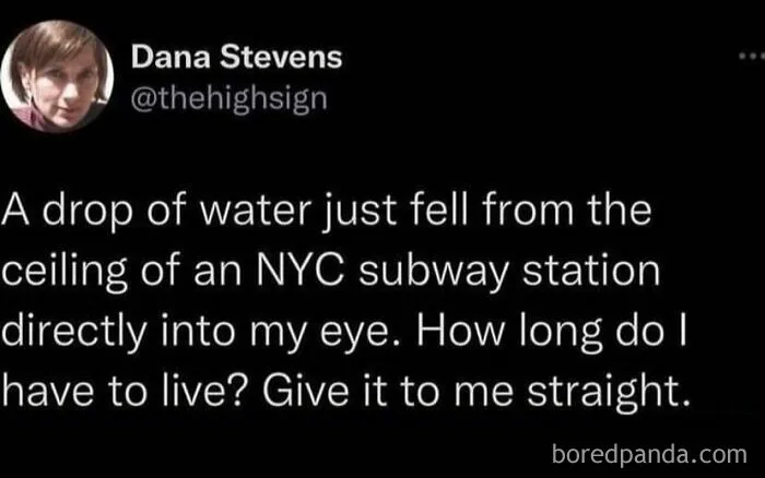 Funny-Memes-Tweets-Highfiveexpert