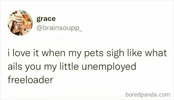 50 Posts Ranging From Hilarious To Highly Relatable