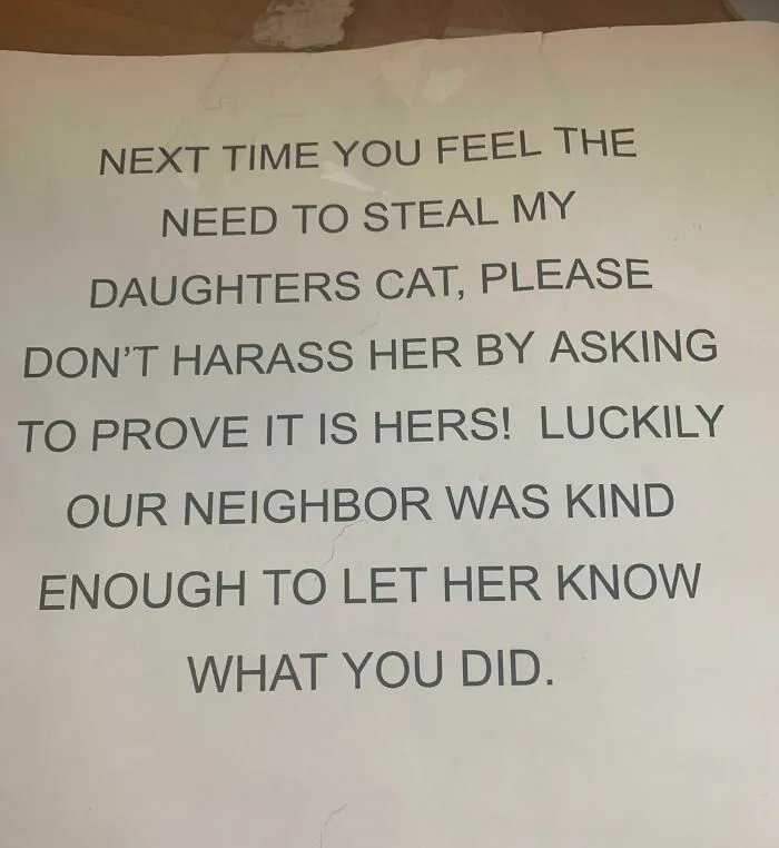 Di refugio a lo que supuse que era un gato callejero durante dos días, llamé a mi complejo de apartamentos para preguntar si alguien había perdido su mascota y, al segundo día, apareció la dueña y le devolví su gato.