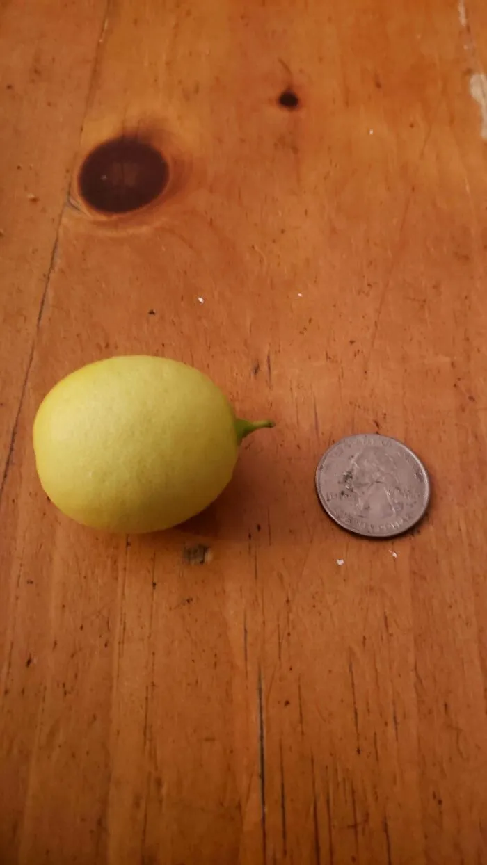 Gonna Have Lemonade For Days