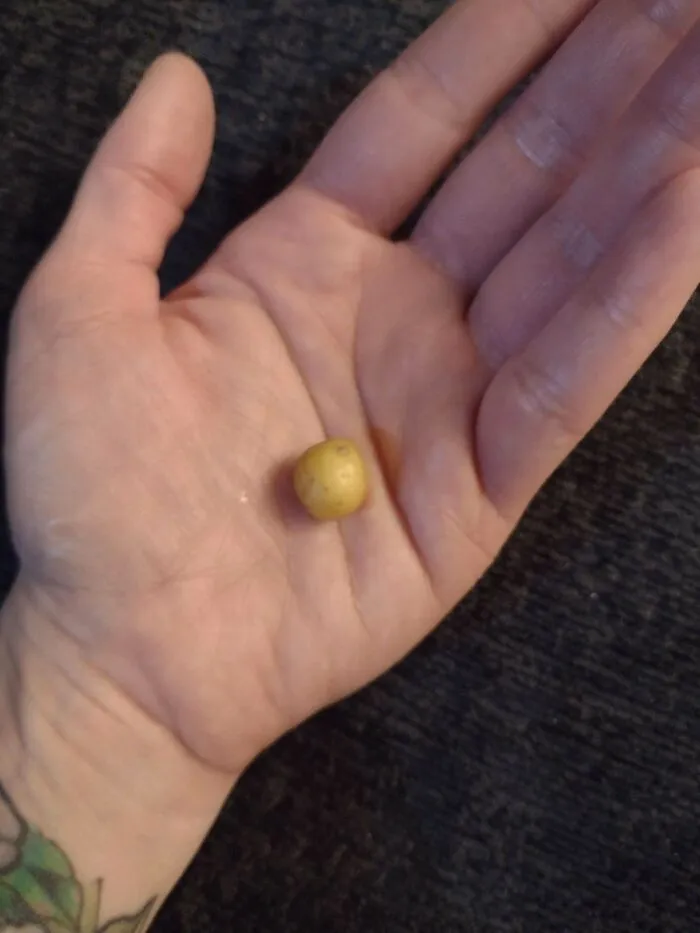 The Perfect Potato