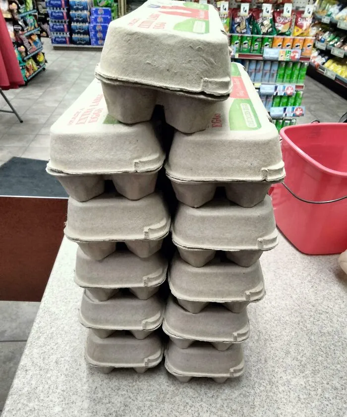 Nadie los compra a $10.49 la docena, así que ahora el basurero se los come.