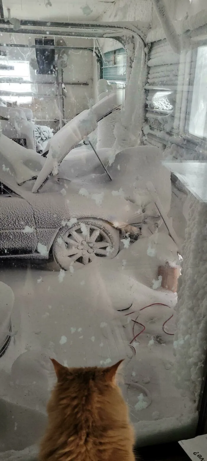 Blizzard Blew The Man Door On My Garage Open Yesterday
