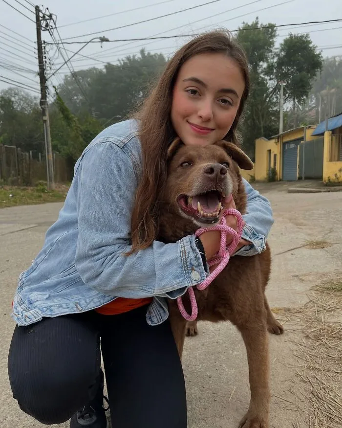 50 Times A Simple Walk Meant Everything To A Dog Without A Home