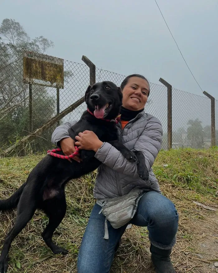 50 Times A Simple Walk Meant Everything To A Dog Without A Home