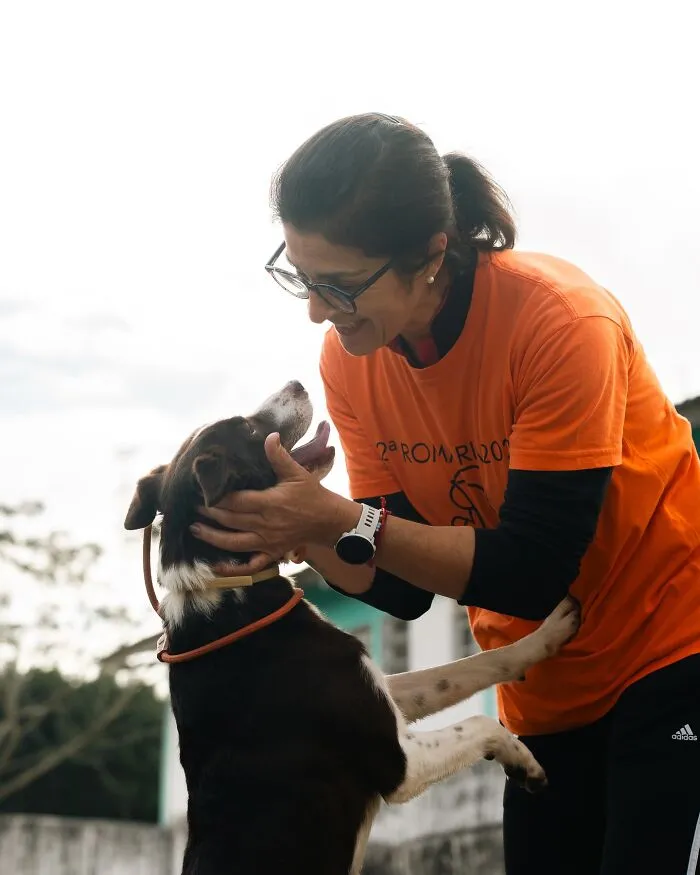 50 Times A Simple Walk Meant Everything To A Dog Without A Home