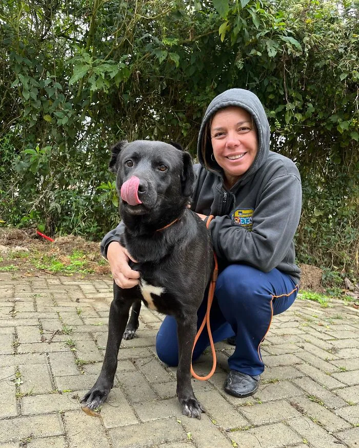 Woman in a hoodie kneeling and smiling next to a black shelter dog licking its nose during a joyful weekly walk.