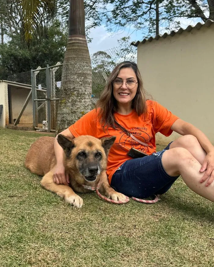 50 Times A Simple Walk Meant Everything To A Dog Without A Home
