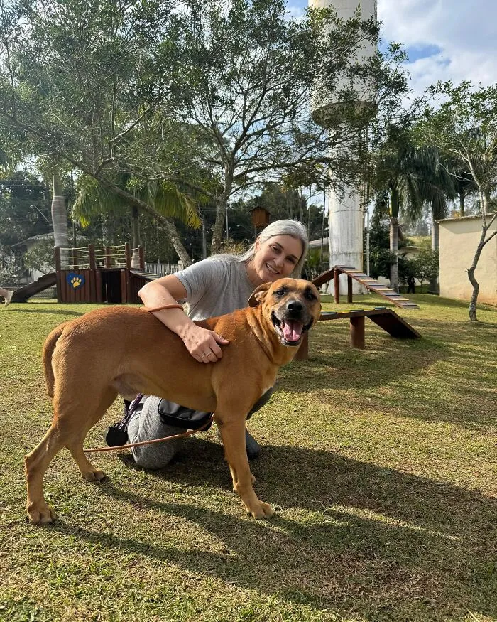 50 Times A Simple Walk Meant Everything To A Dog Without A Home