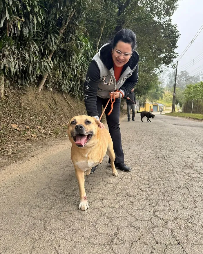 50 Times A Simple Walk Meant Everything To A Dog Without A Home