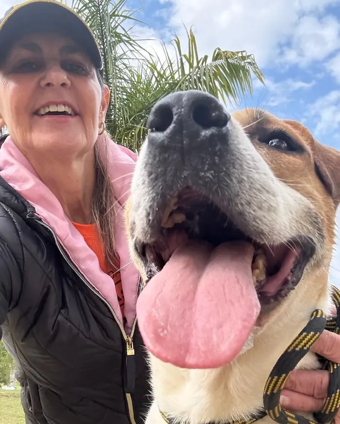 50 Times A Simple Walk Meant Everything To A Dog Without A Home