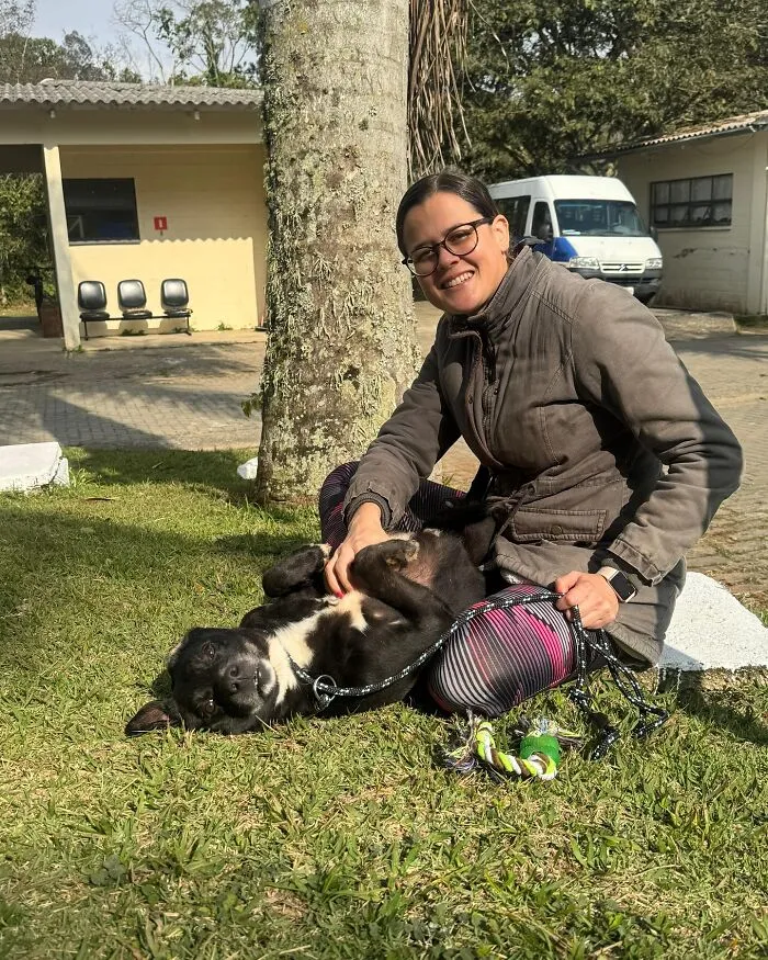 50 Times A Simple Walk Meant Everything To A Dog Without A Home