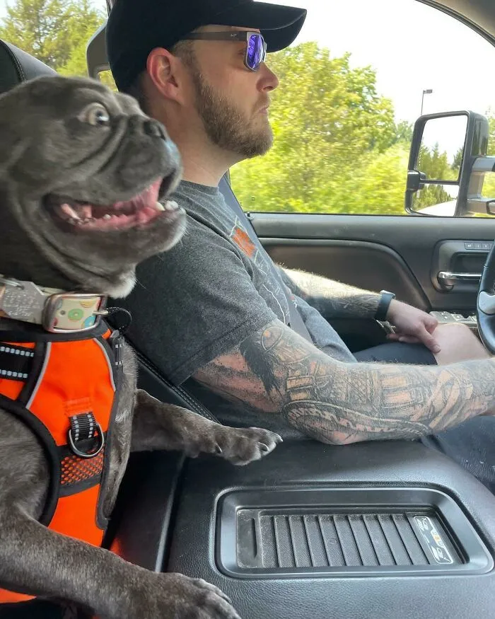 Tank está emocionado por su primer viaje de acampada