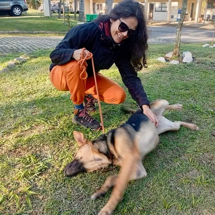 50 Times A Simple Walk Meant Everything To A Dog Without A Home