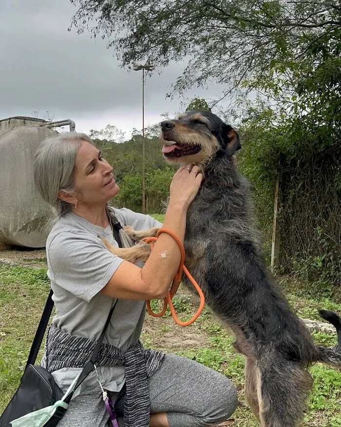 50 Times A Simple Walk Meant Everything To A Dog Without A Home