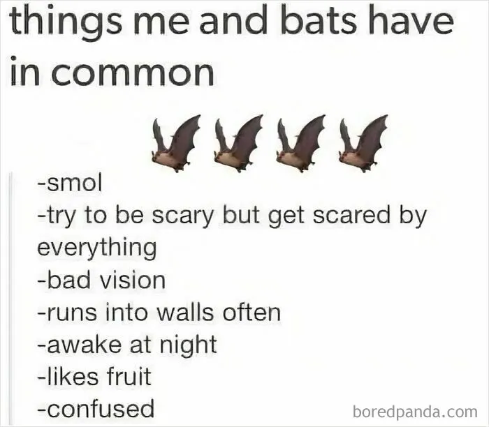 50 Hilariously Dark Memes For People Who Laugh In The Void