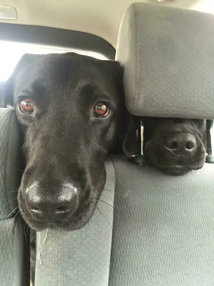 This Is Sadie, On The Right, Kinda Missing The Point