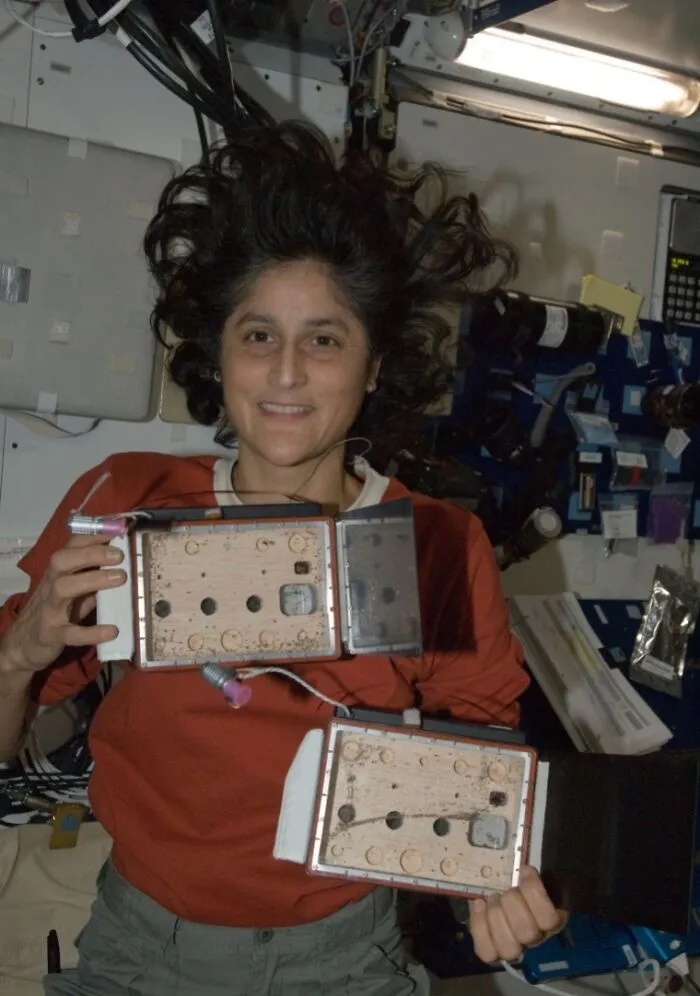 Astronauts Stranded In Space For Months Return Home