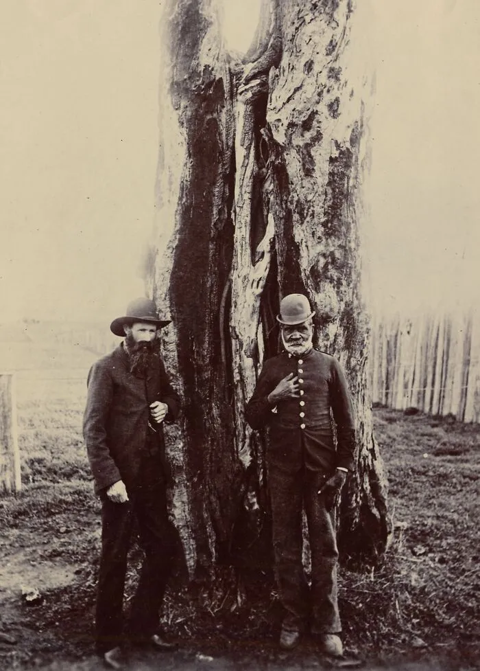 Mr. J.P. Smith (Left) And Lankey (Right), Lankey Was From The Booandik Tribe Of Mount Gambier, Circa 1900