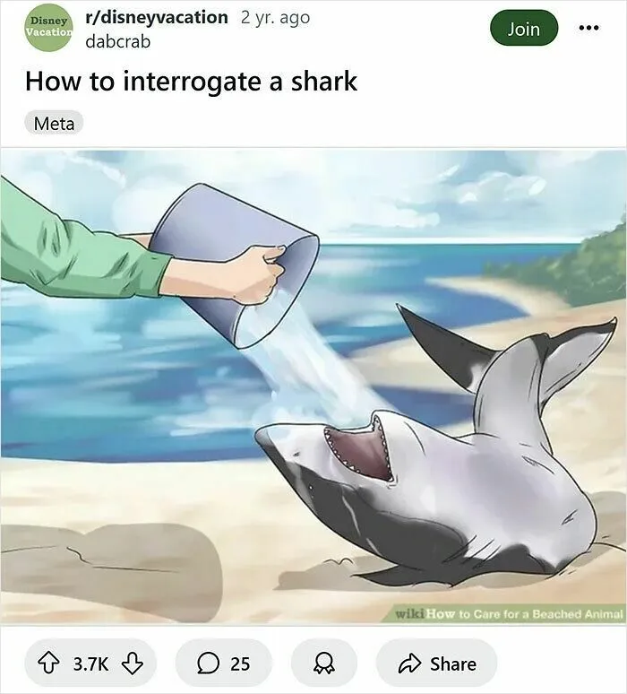 “Fixed It”: 50 Hilariously Rewritten WikiHow Captions That Deserve Awards