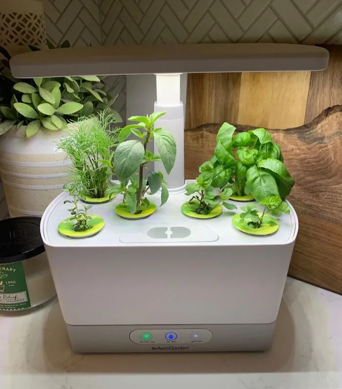 Nurturing Something Green (That They Can Actually Eat) Without Worrying About Dirt Is Surprisingly Zen With A <a Style="Display:inline;" Href="Https://Www.amazon.com/Aerogarden-901100-1200-Harvest-Black/Dp/B07ckk8z78?ie=utf8&th=1&linkcode=ll1&tag=bpcheetah-20&linkid=99fae081b0237114dc863d96f97d474c&language=en_us&ref_=as_li_ss_tl" Target="_blank">  <span Style="Font: Inherit; Color: #d74b1f;"> Hydroponic Indoor Garden</Span>