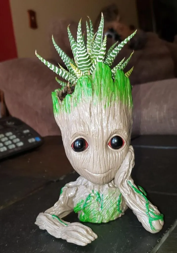 Bringing A Tiny, Adorable, Dancing Guardian Of The Galaxy Into Their Stressed-Out World Is Easy With A <a Style="Display:inline;" Href="Https://Www.amazon.com/B-Best-Guardians-Drainage-Succulents-Christmas/Dp/B07d1kvd2v?ie=utf8&th=1&linkcode=ll1&tag=bpcheetah-20&linkid=4cbf549591e9b442949ac382ab99429d&language=en_us&ref_=as_li_ss_tl" Target="_blank">  <span Style="Font: Inherit; Color: #d74b1f;"> Baby Groot Planter</Span>
