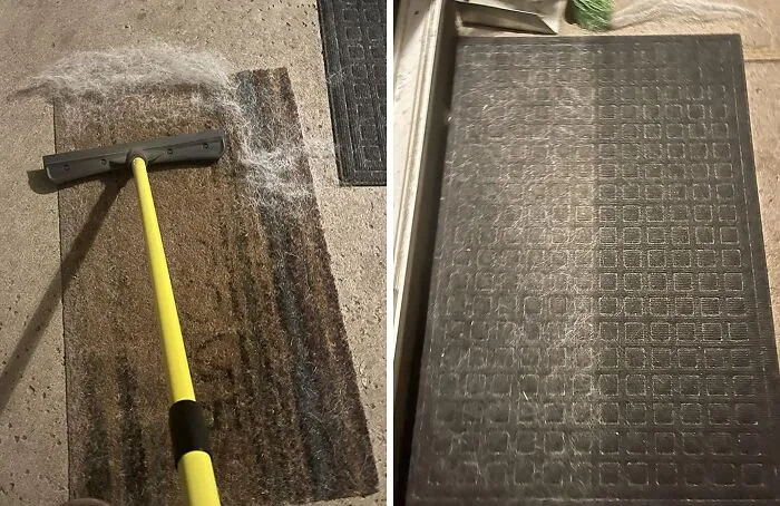 You Can Banish Pet Fur From Every Corner Of Your Home, Making It Look Like You Don't Even Have Pets With A <a Style="Display:inline;" Href="Https://Www.amazon.com/Furemover-Hair-Remover-Carpet-Rake/Dp/B000efdooa?ie=utf8&th=1&linkcode=ll1&tag=bpraccoon-20&linkid=0b06cde522ca20412d64c9e94be7c1cd&language=en_us&ref_=as_li_ss_tl" Target="_blank"> <span Style="Font: Inherit; Color: #d74b1f;"> Pet Hair Rubber Broom</Span>