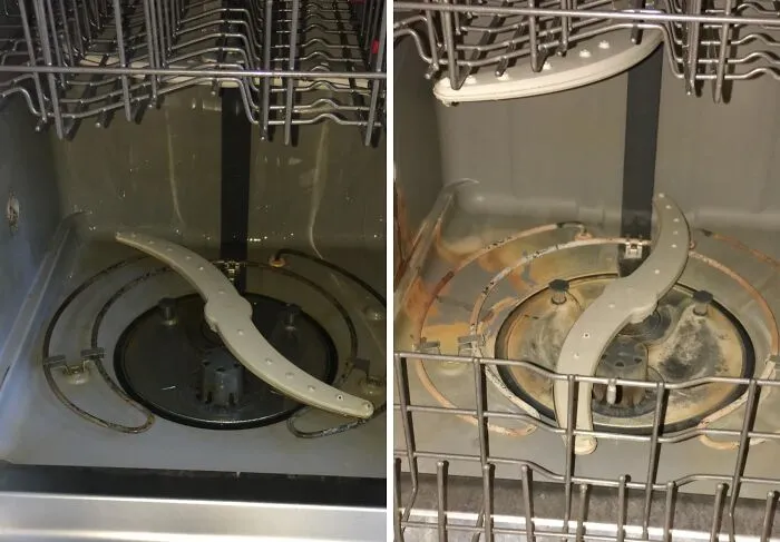 Your Dishes Can Come Out Sparkling Clean And Smell Fresh, Ensuring Your In-Laws Never Question Your Hygiene, With A <a Style="Display:inline;" Href="Https://Www.amazon.com/Affresh-W10282479-Dishwasher-Cleaner-Tablets/Dp/B002r0dxqe?ie=utf8&th=1&linkcode=ll1&tag=bpraccoon-20&linkid=b24845206043c13477423c19de9ee6a5&language=en_us&ref_=as_li_ss_tl" Target="_blank"> <span Style="Font: Inherit; Color: #d74b1f;"> Dishwasher Cleaner</Span>