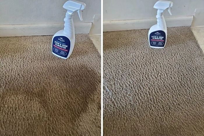 Before and after comparison of carpet stain removal using a stain and odor eliminator spray for genius cleaning tricks.