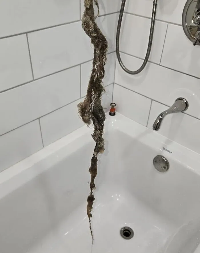 That Mysterious Slow Drain Can Be Cleared Faster Than Your In-Laws Can Ask "What's That Smell?" With A <a Style="Display:inline;" Href="Https://Www.amazon.com/Flexisnake-Drain-Weasel-Sink-Snake/Dp/B01nb0729g?ie=utf8&th=1&linkcode=ll1&tag=bpraccoon-20&linkid=5f73c6ca3dc37b114c7daa35fc7e0698&language=en_us&ref_=as_li_ss_tl" Target="_blank"> <span Style="Font: Inherit; Color: #d74b1f;"> Flexisnake Drain Weasel</Span>