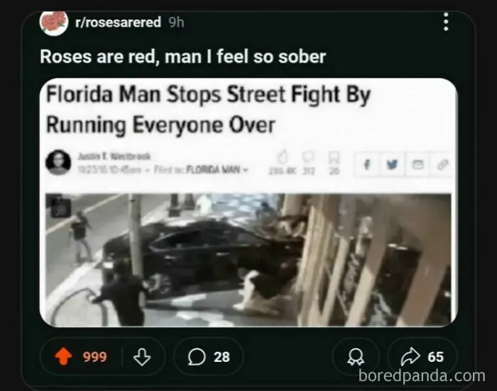 Screenshot of a chaotic good post showing a Florida man stopping a street fight by running everyone over.