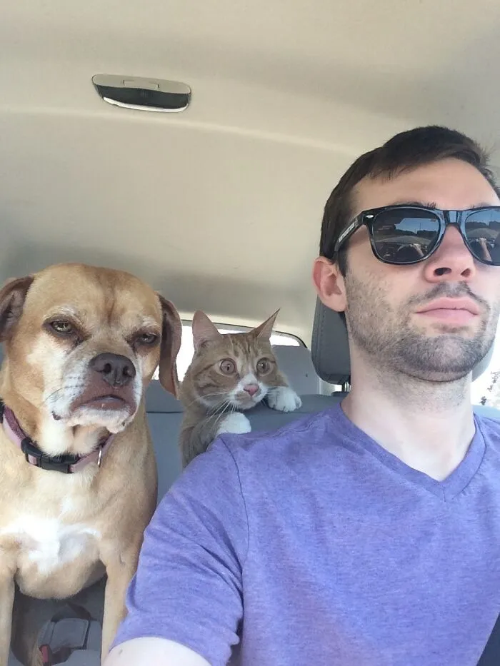Road Trip