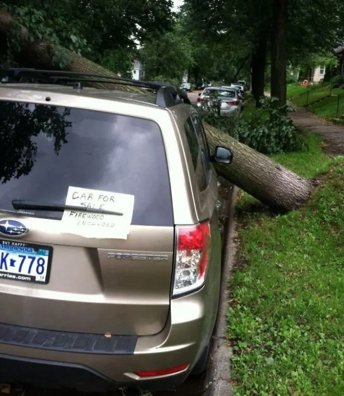 A Little Post-Storm Humor
