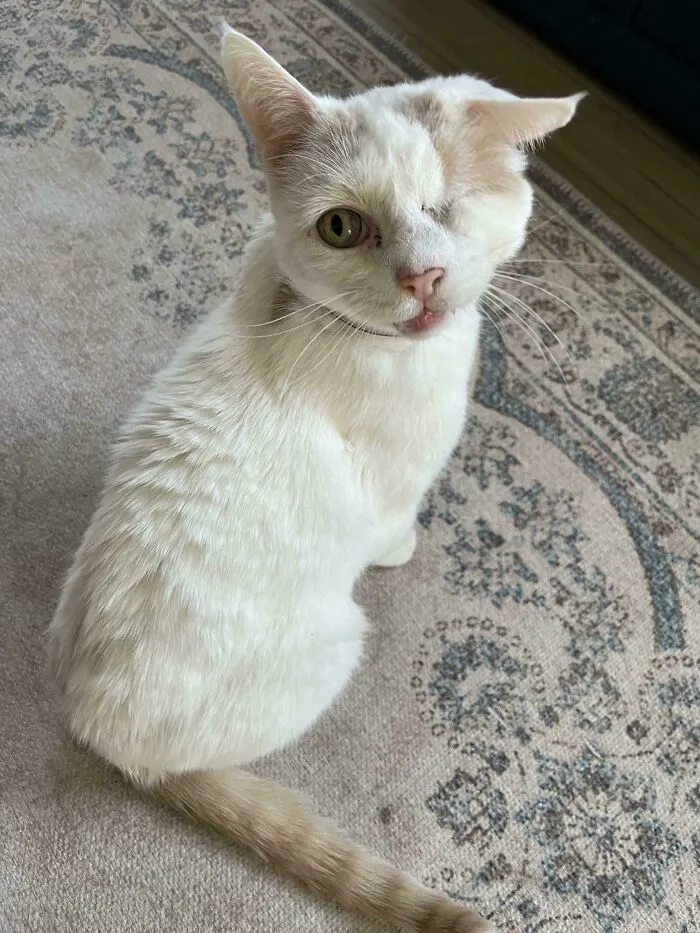 That’s My Little Adopted Baby. He’s Been Through A Lot