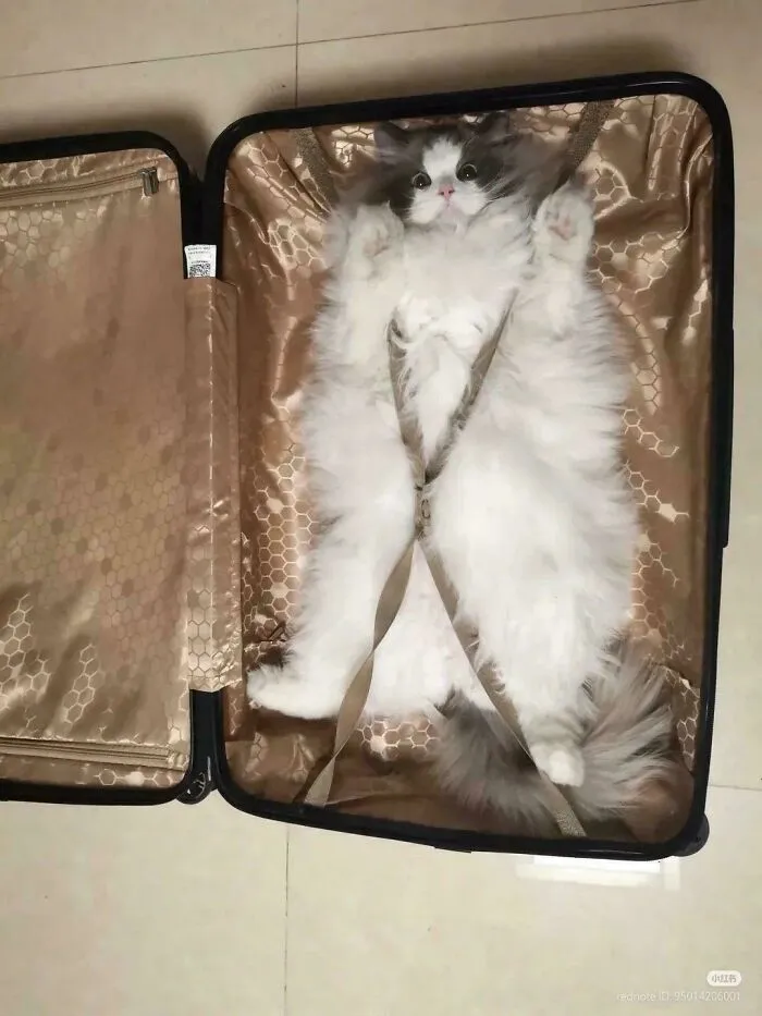 Ready For Vacation