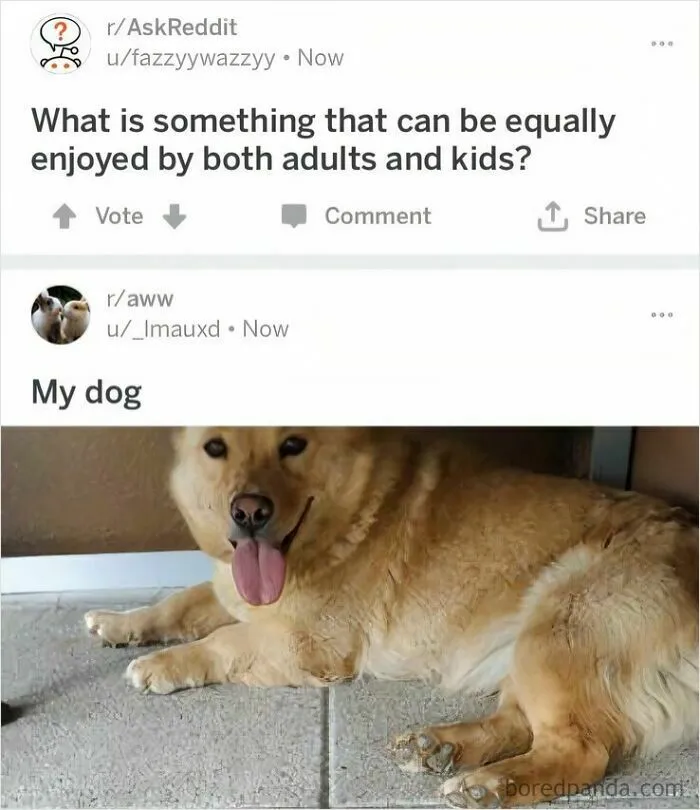An R/Askreddit Post Answered Itself