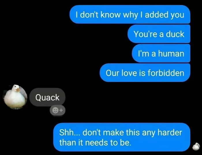 Right In The Feels