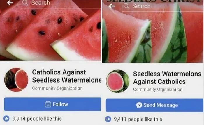 *watermelons Having Better Social Life Than Me*