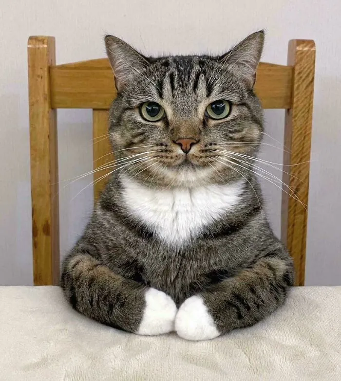 He Is Looks Like A Cabinet Member
