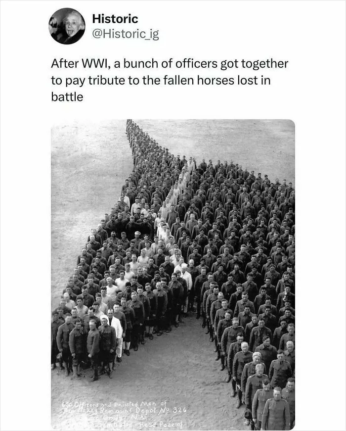 50 Historic Facts To Add To Your Random And Useless Knowledge Collection (New Pics)
