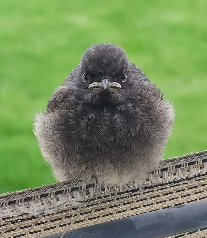 Took A Shot Of This Guy Yesterday, Guess He Wasn't Too Happy About It