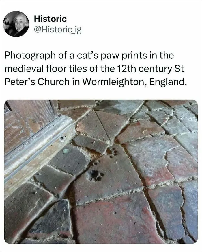50 Historic Facts To Add To Your Random And Useless Knowledge Collection (New Pics)