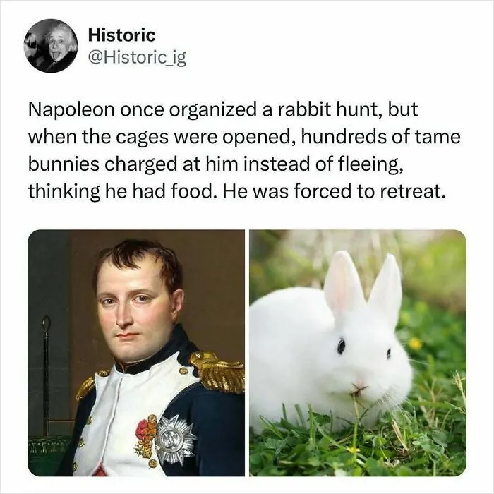 50 Historic Facts To Add To Your Random And Useless Knowledge Collection (New Pics)