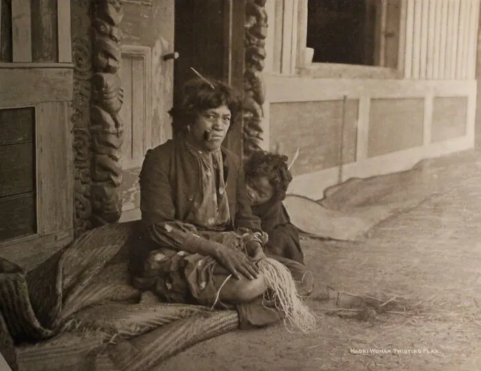Maori Woman Preparing Flax