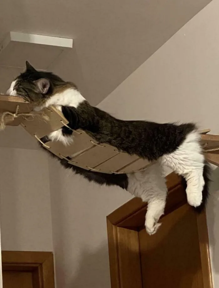 That Was Not The Idea When I Put This Up