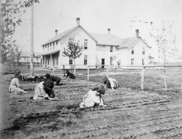 Children working in garden rows outside a large building at a Native American boarding school in the 1910s.