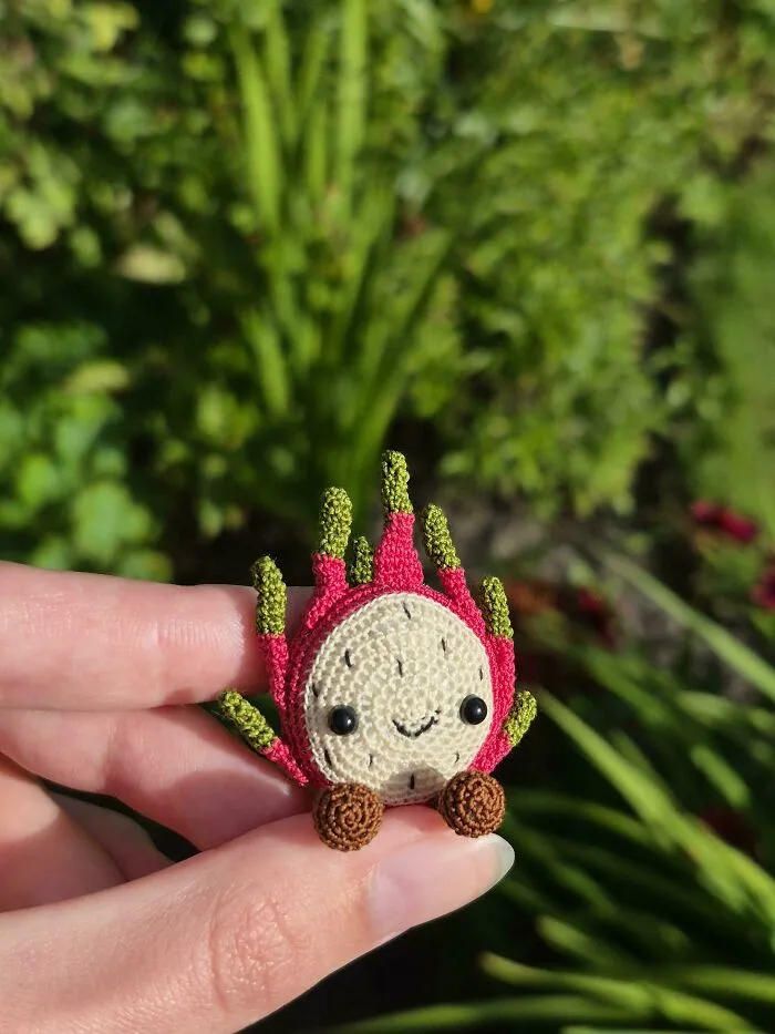 Miniature Dragonfruit