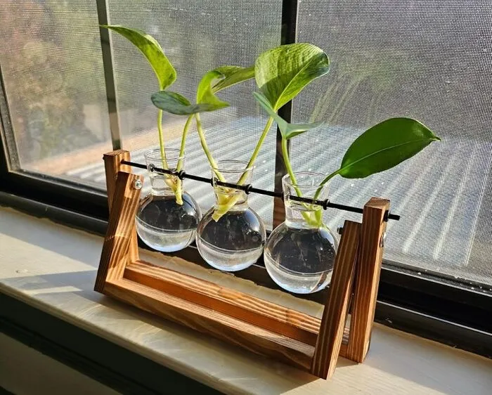If Managing Your Own Life Feels A Bit Too Chaotic, You Can Instead Play A Tiny, Benevolent God To A Much Smaller, More Manageable World With A <a Style="Display:inline;" Href="Https://Www.amazon.com/Terrarium-Planter-Tabletop-Hydroponics-Decoration/Dp/B07d29p5z1?ie=utf8&linkcode=ll1&tag=bppanther-20&linkid=dcb3efca87a218bbf481a9472b25daee&language=en_us&ref_=as_li_ss_tl" Target="_blank">  <span Style="Font: Inherit; Color: #d74b1f;"> Plant Terrarium </Span>