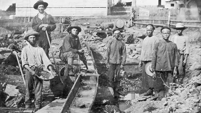 Gold Miners In Aubine Ravine, California, 1852