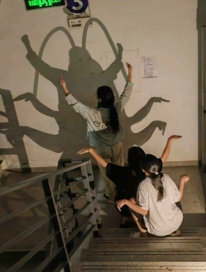 The Cockroach Of Shadows